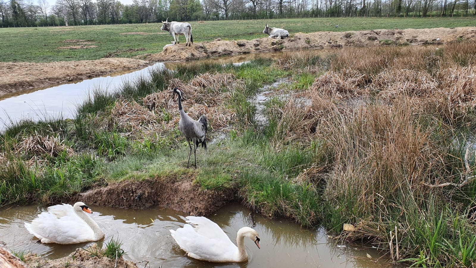 Ferme clautres 4.jpg (635 KB)