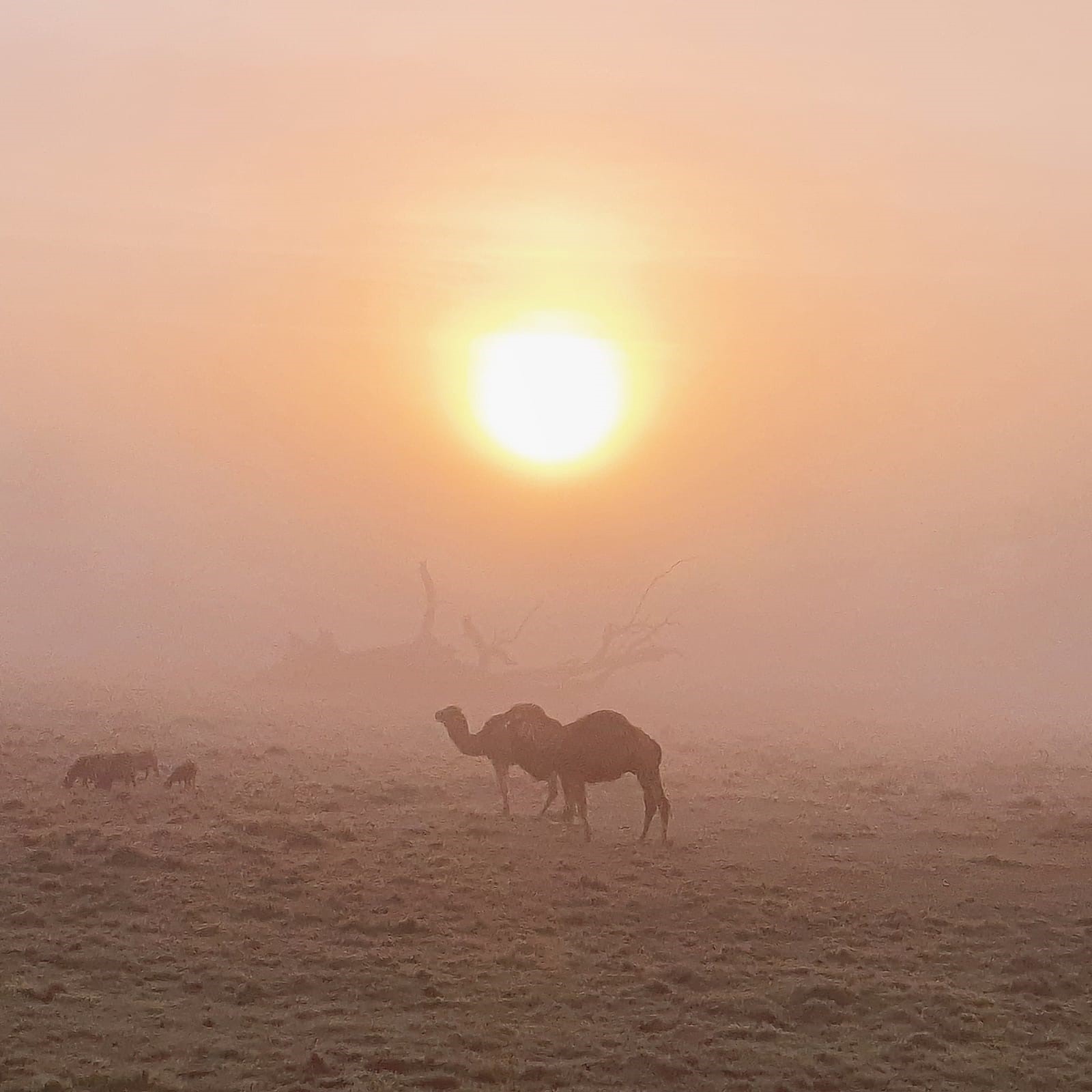 Ferme clautres 5.jpg (220 KB)