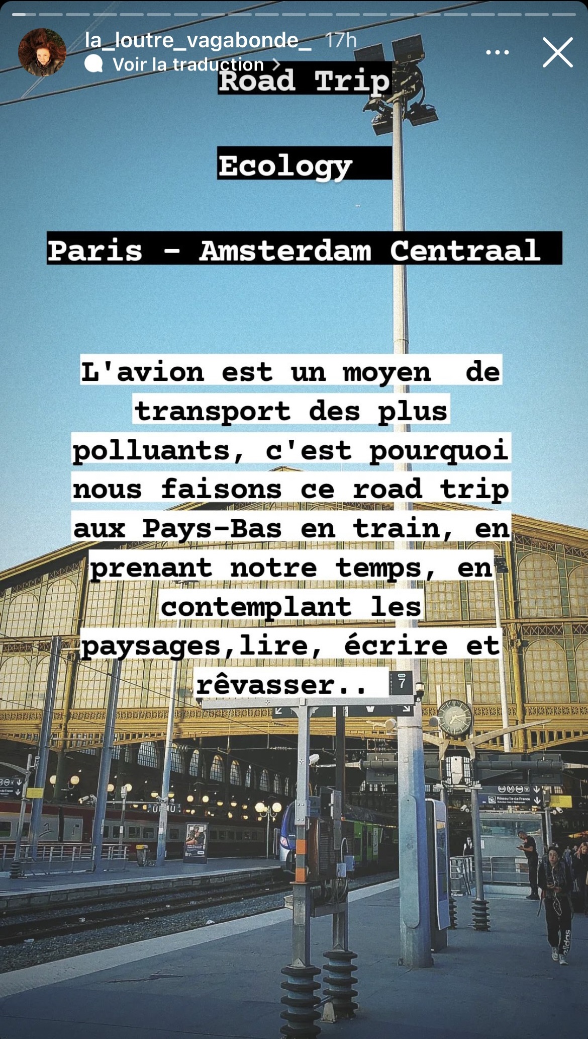 loutre 2.jpg (923 KB)