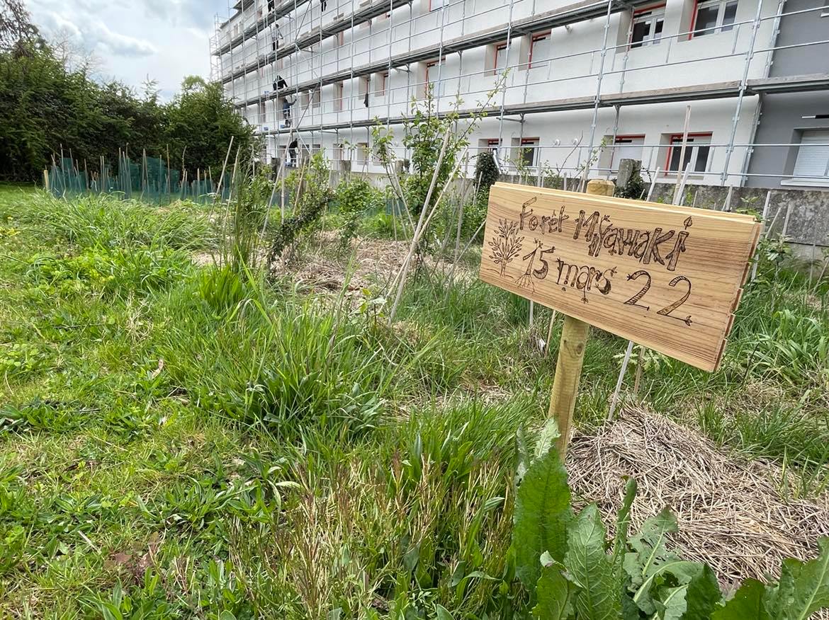 Ecole Louise Michel &eacute;cole fleurie.jpg (304 KB)
