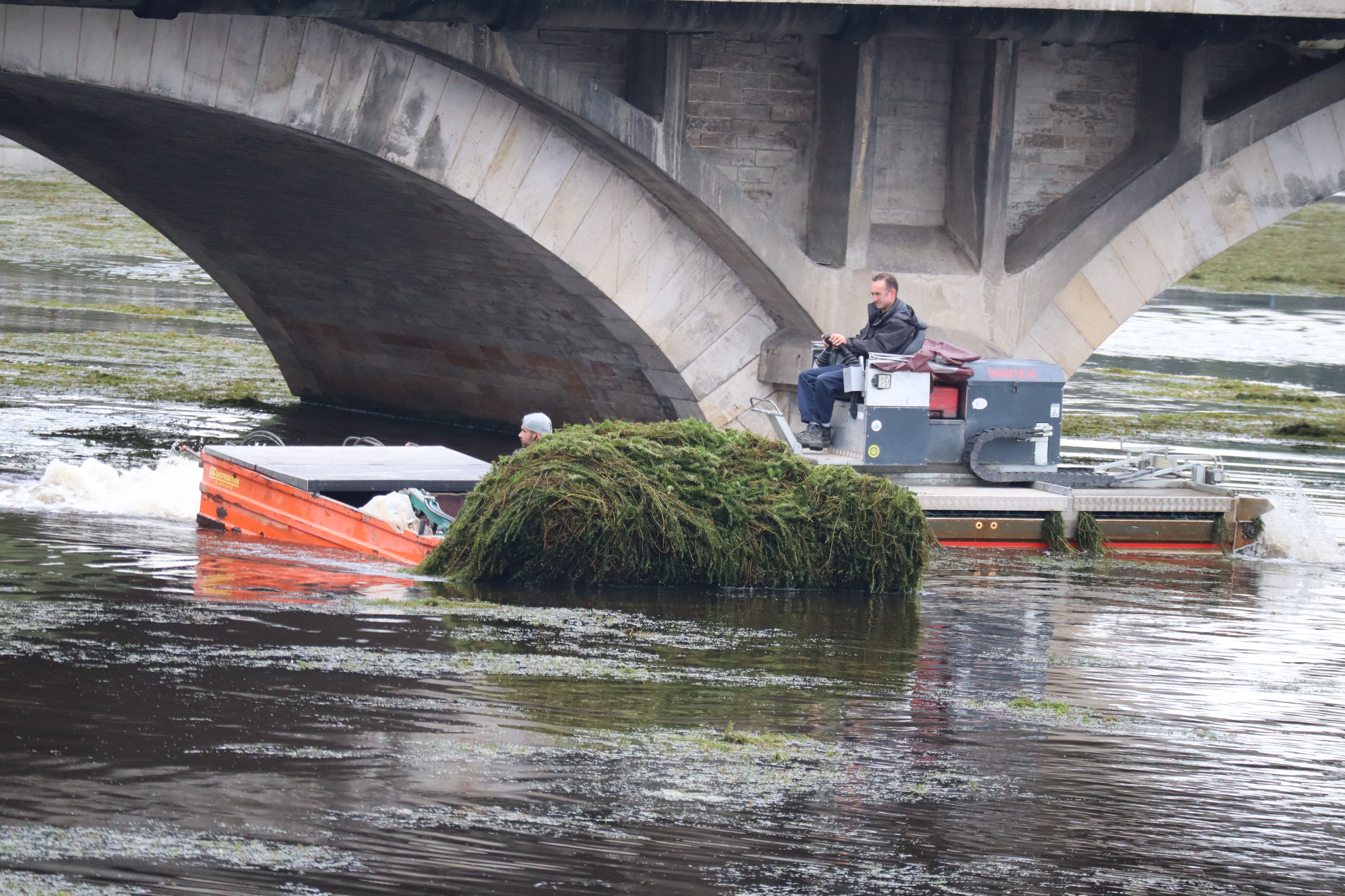 Faucardage berges du Cher 2024 (3).JPG (10.26 MB)