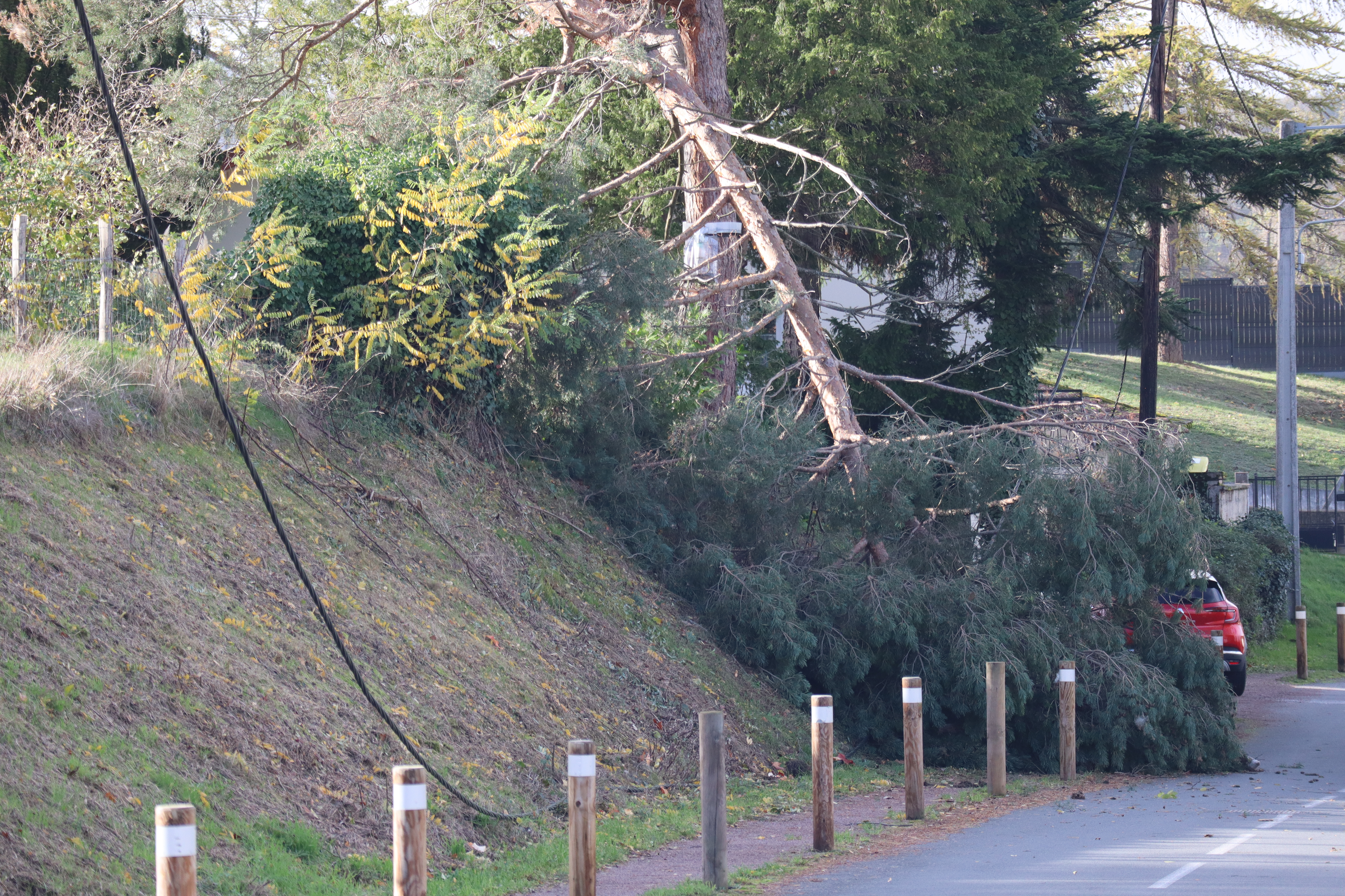 IMG_2875.JPG (14.41 MB)