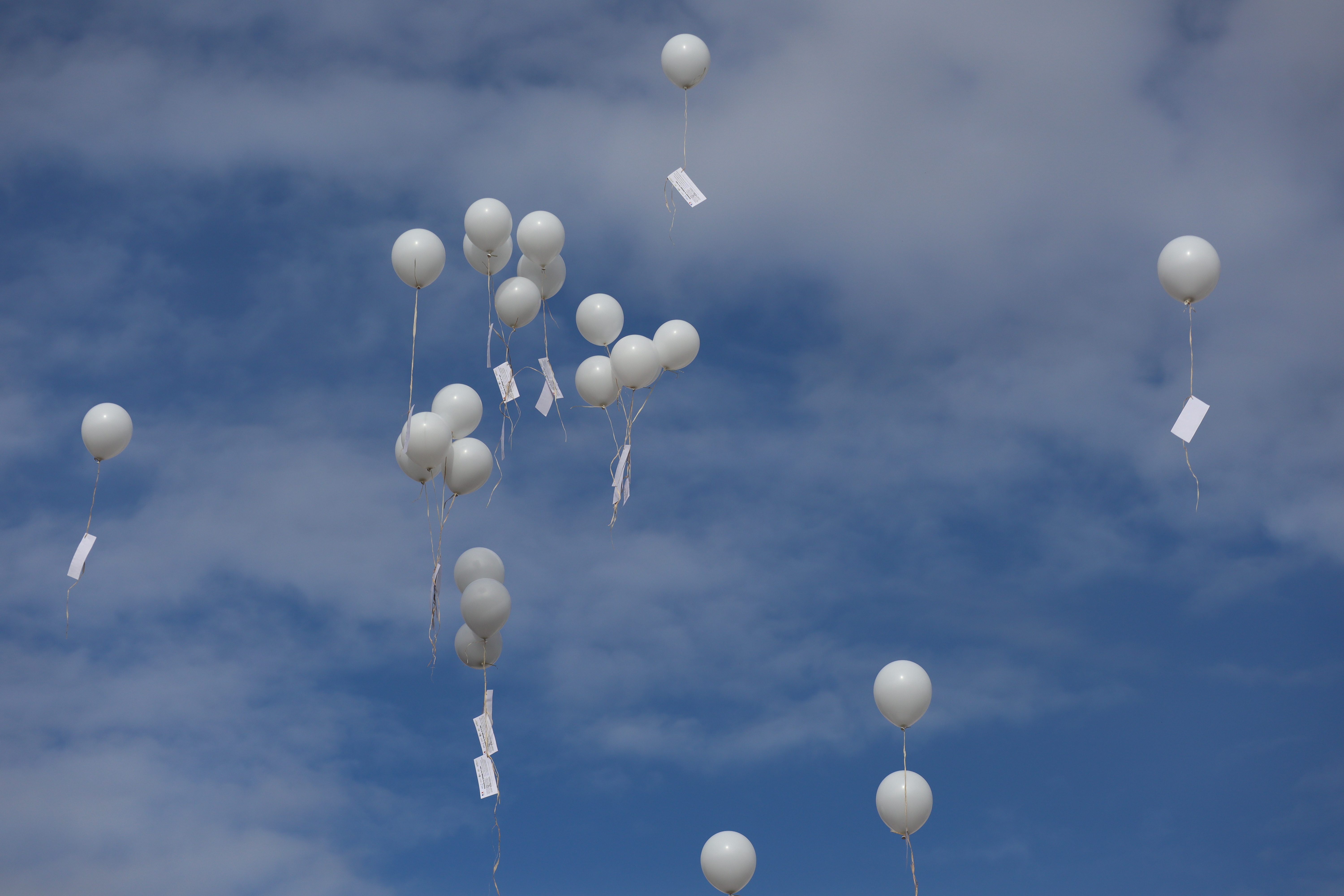 Lacher de ballons femmage coll&egrave;ge Vallon en Sully mars 2026 2.JPG (5.33 MB)