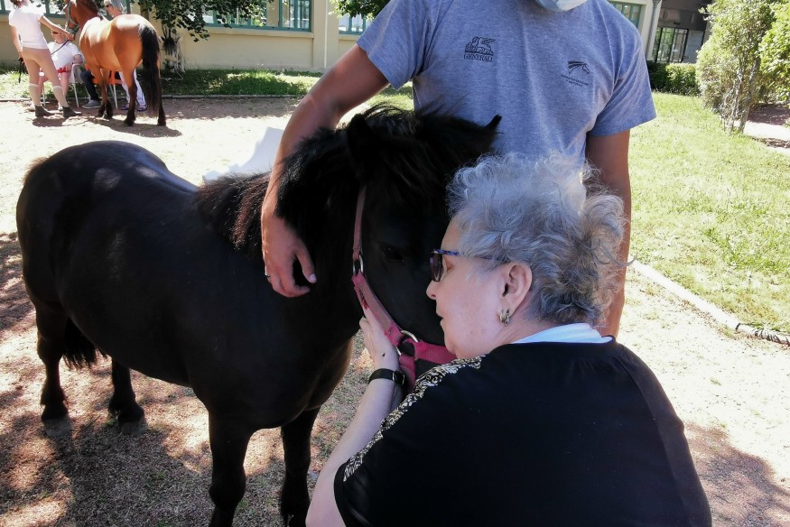 L'équithérapie pour réactiver l'interaction des résidents à l'EHPAD de Lavault Sainte-Anne