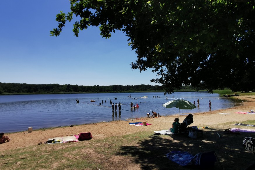 En forêt de Tronçais, la communauté de communes mise sur le tourisme
