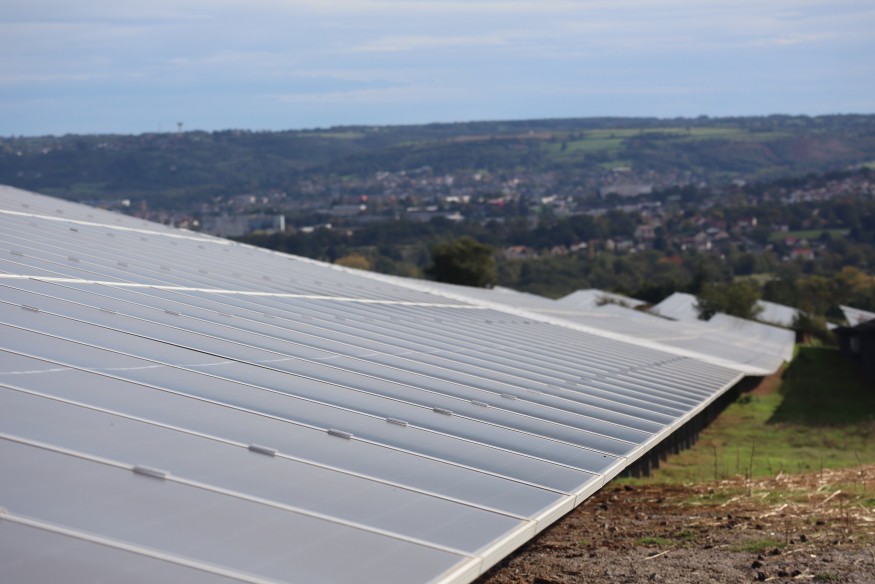 17 hectares de panneaux solaires à Commentry? On vous dit tout sur ce projet initié par les pépinières Delbard