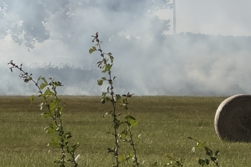 Quinssaines, Saint-Vitte : des feux de végétation causés par des engins agricoles