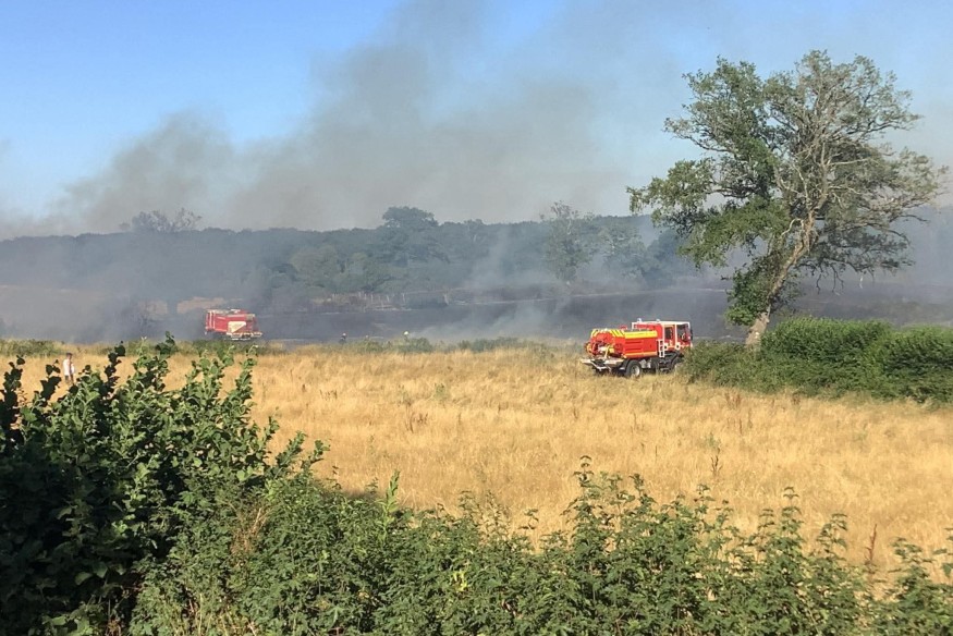 Cinq hectares de végétation brûlés à Saint-Sauvier, jeudi soir